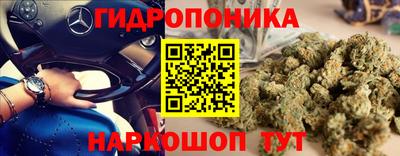 mdma Аргун