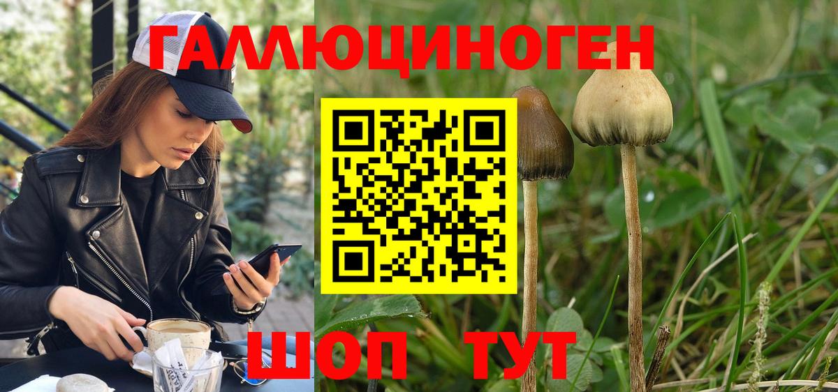 Галлюциногенные грибы GOLDEN TEACHER Верхняя Салда